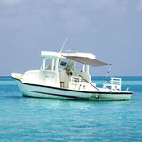 vidaXL Razširljivo senčilo za T-Top antracit 170x170x(113-182,5) cm, (21233585) | Shoptok.si