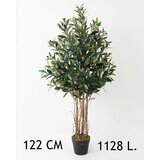  Stablo masline visina122cm Cene