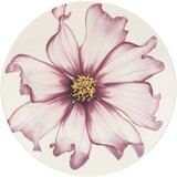 Rose & Tulipani Rose&Tulipani Cosmea 18 delni set krožnikov | Shoptok.si
