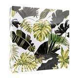  Foto album Monstera 2, 500 slika | shoptok.hr