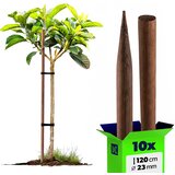 KADAX leseni koli, impregnirani koli, 120 cm, podporne palice, 10 kosov, premer 23 mm, (5000362521) | Shoptok.si