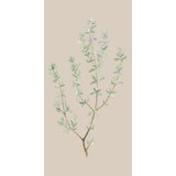 IB Laursen Papirnate serviete "Vejica timijana" - 16 k. Cene
