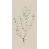 Papirnate serviete "Vejica timijana" - 16 k.