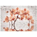  Tapeta - The Orange Arc 200x140 | shoptok.hr