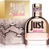 Roberto Cavalli just Cavalli For Her toaletna voda 30 ml za žene | shoptok.hr