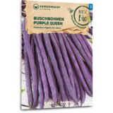 Samen Maier Bio grmičasti fižol "Purple Queen" | Shoptok.si