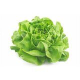 Rinfuz zelena salata cene