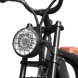 iTherapy Električni bicikl 250w | shoptok.hr