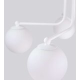  Lestenec ASTRAL 5 beli, (21626983) | Shoptok.si
