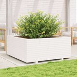  Vrtno cvetlično korito belo 110x110x49,5 cm trdna borovina | Shoptok.si