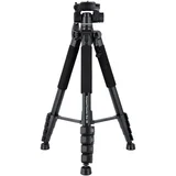 Compact Traveler Star S4