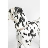 MiaCara Bež ovratnica velikosti L/XL dolžina 40 cm Modena Greige L/XL – | Shoptok.si
