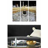 Wallity MDF125633117 multicolor decorative mdf painting (3 pieces) Cene