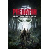 Steam Predator: Hunting Grounds - Yautja Edition Key (PC) GLOBAL | ePonuda.com