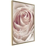  Poster - Rose with a Message 40x60 | shoptok.hr