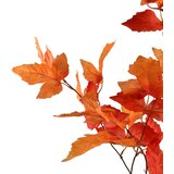 Mondex umetna veja plastika Viridis 100cm zelena 1kos, (5000329504) | Shoptok.si
