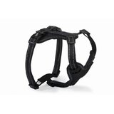 Camon am za pse podesivi 15mm 49-69cm Cene