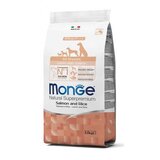 Monge hrana za pse puppy/junior all breeds - losos i pirinač 12kg Cene