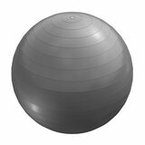  lopta za pilates (65 cm / Siva) cene
