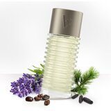 Bruno Banani Man toaletna voda za moške 100 ml | Shoptok.si