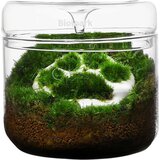  Luji Glass Cup MY-120 - 1 k. Cene