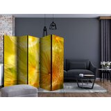  Paravan u 5 dijelova - Soft dandelion flower II [Room Dividers] 225x172 | shoptok.hr