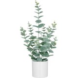 Mömax Umetna Rastlina Eukalyptus I | Shoptok.si