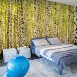  Tapeta - Birch forest 450x270 Cijene