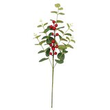  Okrasna vejica evkaliptusa z jagodičevjem (Zelena, Rdeča, Plastika, 55 cm) | Shoptok.si