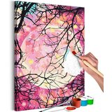  Slika za samostalno slikanje - Starry Night 40x60 | shoptok.hr