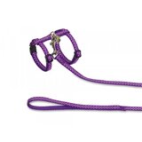 Nobby set povodac i am za mačke Tufne - Purple | ePonuda.com