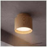 Brilagi Ugradni spot BACKLIT 1xGX53/15W/230V, prečnik 8 cm, u dekoru hrasta | Eponuda.com