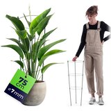KADAX Obročna opora za rastline in rože 75 cm Kovinski podporni obroči, (5000362668) Cene