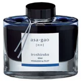 PILOT IROSHIZUKU PLAVO ASA GAO