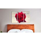  Slika - Lyrical rose 120x80 | shoptok.hr