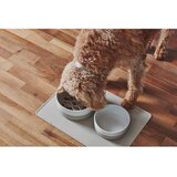 MiaCara Porculanska zdjela za hranu za ljubimce za pse ø 21,5 cm Coppa Greige M/L – | shoptok.hr