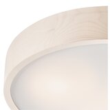  plafonsko svetlo 3xE27/60W/230V | Eponuda.com