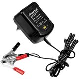  Punjač baterija Green Cell 2V/6V/12V(0.6A), za AGM, Gel, Olovno kiselinske baterije | shoptok.hr
