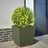 vidaXL Vrtno korito olivno zelena 50x50x50 cm jeklo Cene
