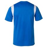 Joma Dinamo sarena | shoptok.hr