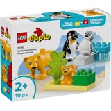 Lego duplo town wild animal families penguins and lions ( LE10442 ) | ePonuda.com