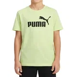 Majica za dečake Ess No. 1 Logo Tee B, Zelena