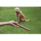 MiaCara Igračka za psa Ramo Sage – | shoptok.hr