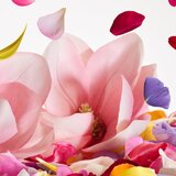 Dolce & Gabbana Dolce Magnolia parfemska voda za žene 75 ml | shoptok.hr