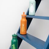 Trixie otroška steklenička 500 ml mr. parrot | Shoptok.si