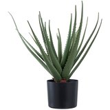 House Nordic Umetna rastlina (višina 51 cm) Aloe Vera – Cene