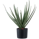 Umjetna biljka (visina 51 cm) Aloe Vera –