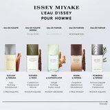 Issey Miyake L'Eau d'Issey Pour Homme Eau Essentielle parfemska voda za muškarce 75 ml | shoptok.hr