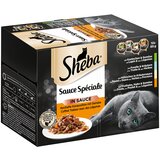 Sheba Varčno pakiranje različice pladnji 144 x 85 g - Sauce Speciale | Shoptok.si