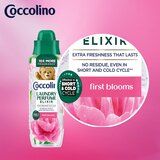 Coccolino First Bloom mirisi za rublje 460 ml | shoptok.hr